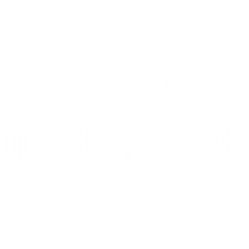 SYSTEM MUST'E OPERATE